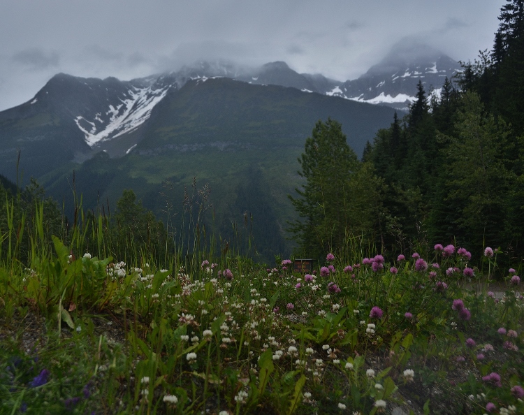 Loop Brook Trail